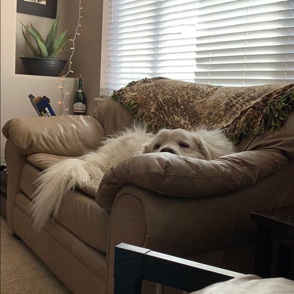 Meet your Posher, Shawna - Picture 1 of 1